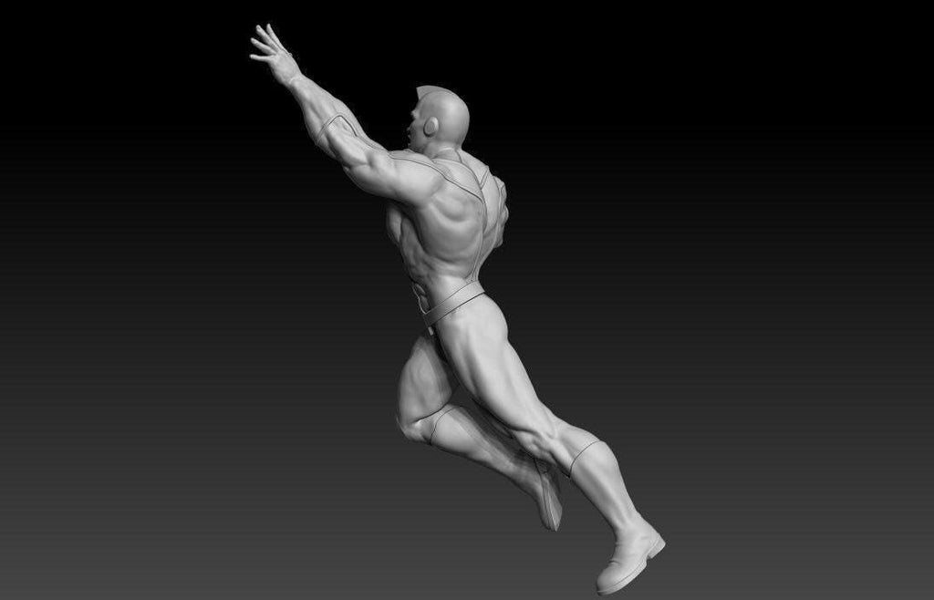 Steel Citizen 3D Print