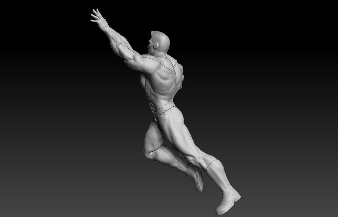 Steel Citizen 3D Print
