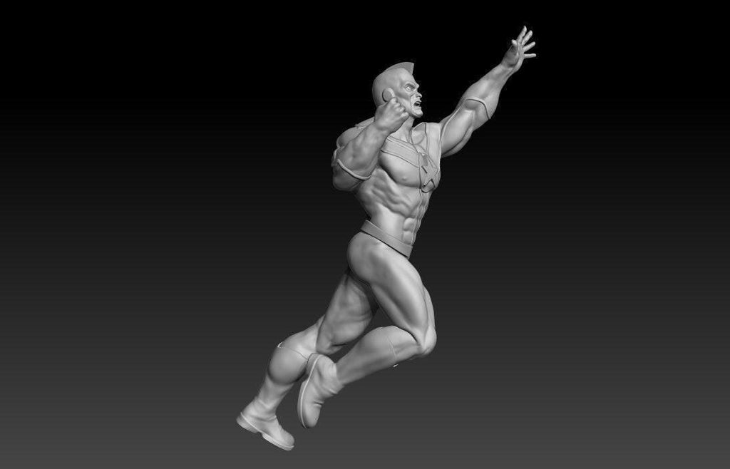 Steel Citizen 3D Print