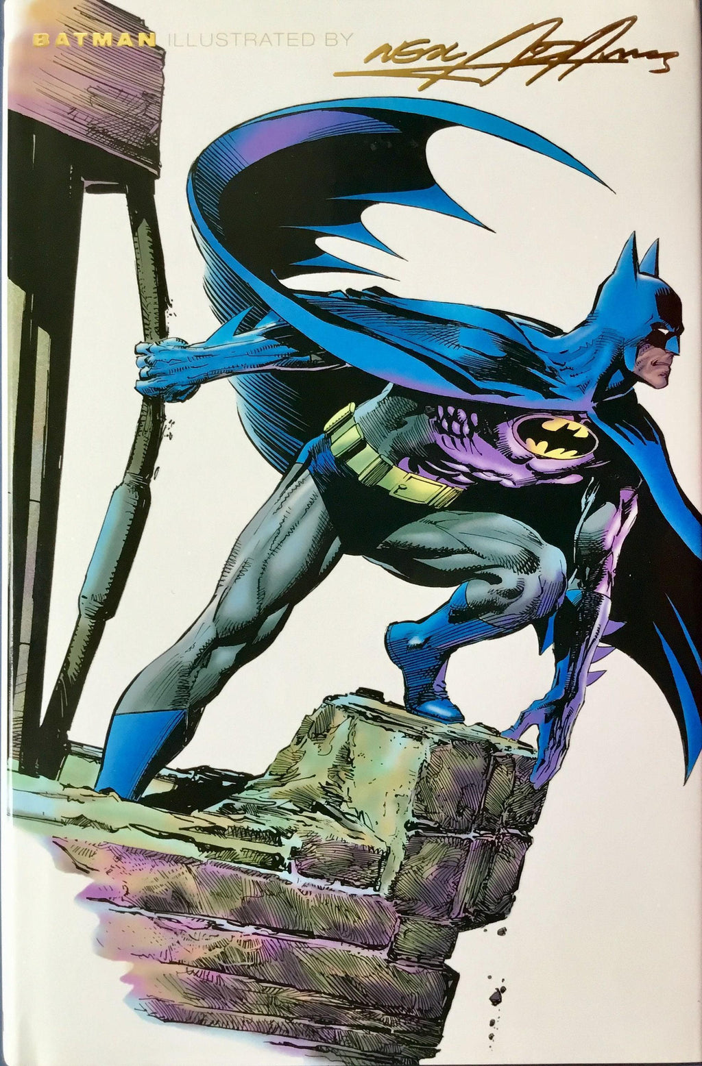 Adams' Bat 3D Print