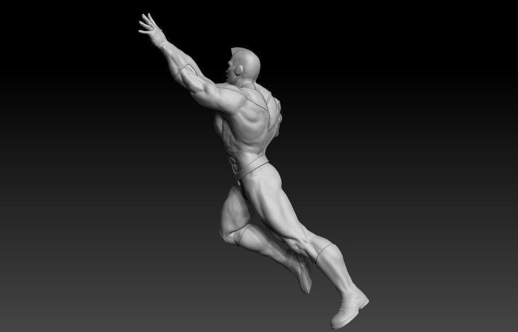 Steel Citizen 3D Print